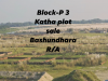 Block-P 3 Katha plot sale Bashundhara R/A Property